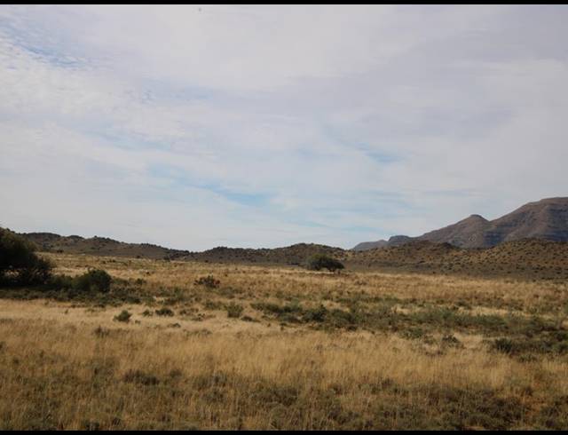 31HA FARM FOR SALE IN MIDDELBURG RURAL